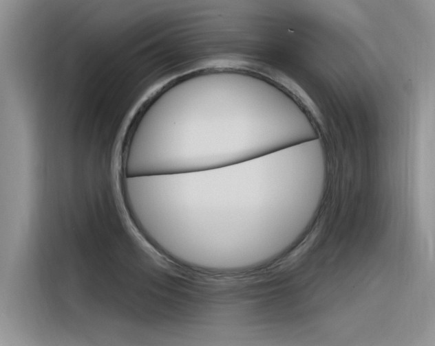 X0000116380939200912020943