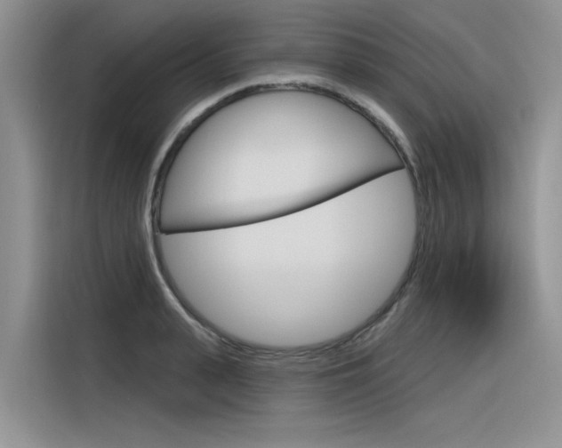 X0000116380943200912020943