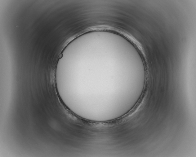 X0000116380945200912020943