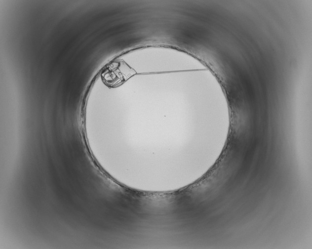 X0000116380950200912020943