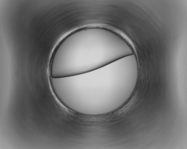 X0000116380951200912020943