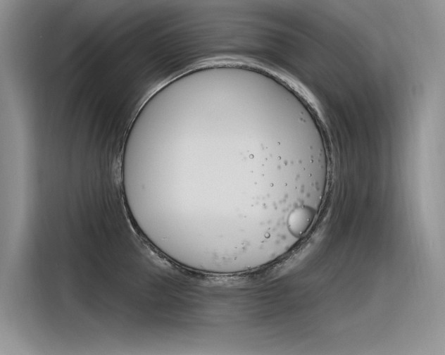 X0000116380953200912020943