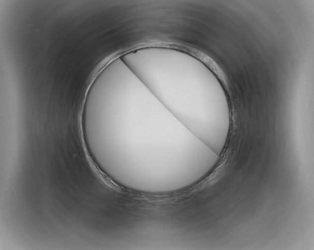 X0000116380954200912020943