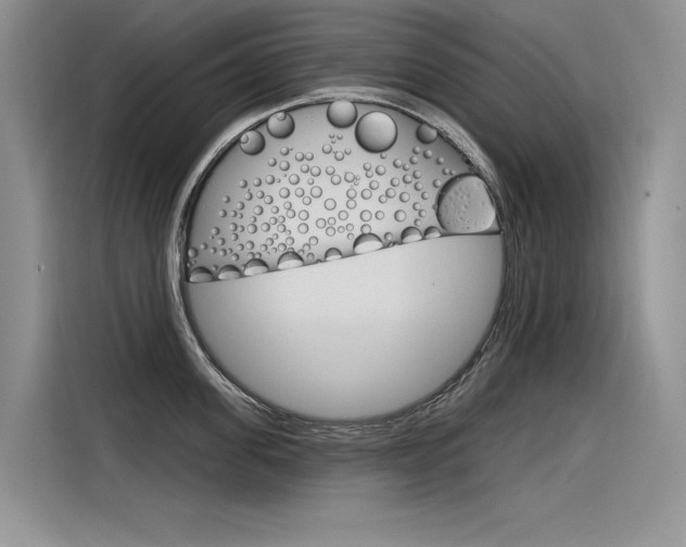 X0000116380955200912020943