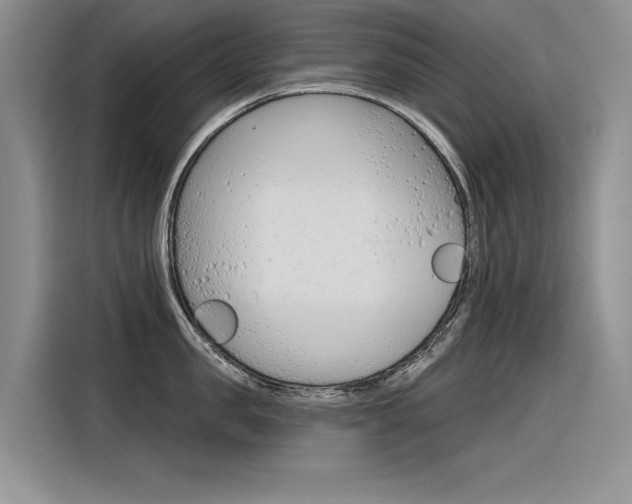 X0000116380957200912020943