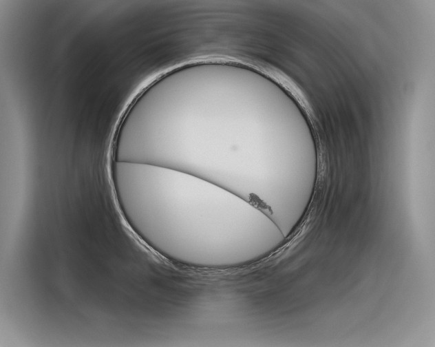 X0000116380958200912020943