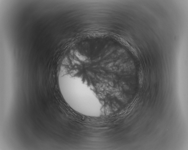 X0000116380962200912020942