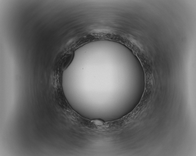 X0000116380965200912020942