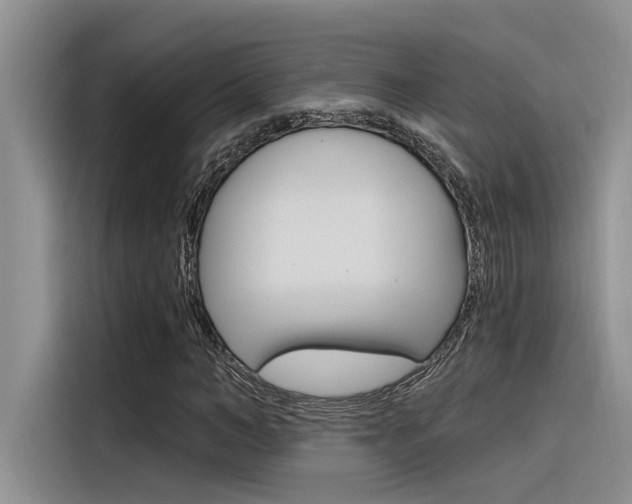 X0000116380966200912020942