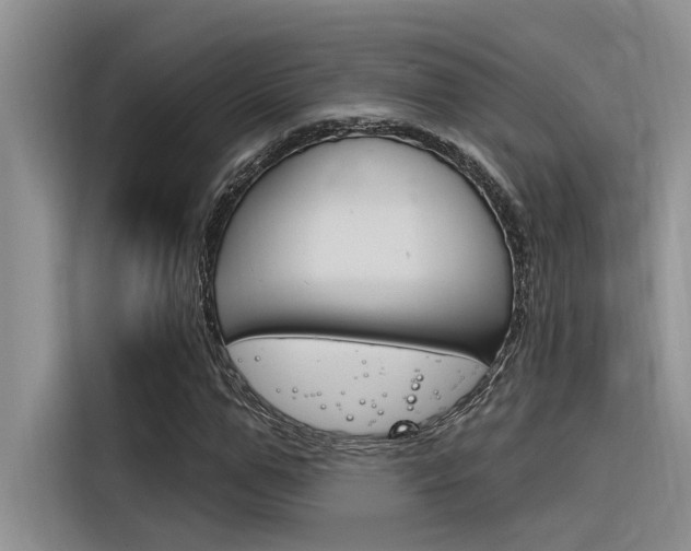 X0000116380967200912020942