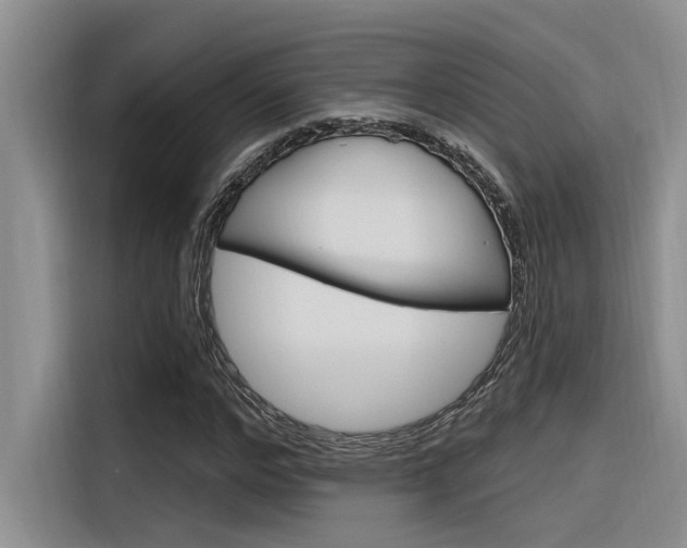 X0000116380968200912020942