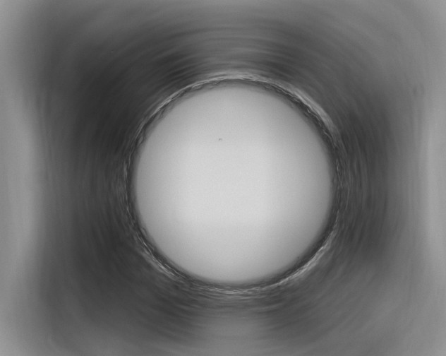 X0000116380969200912020942