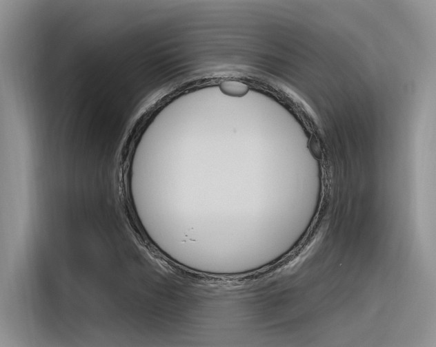 X0000116380970200912020942