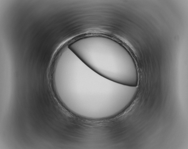 X0000116380971200912020942