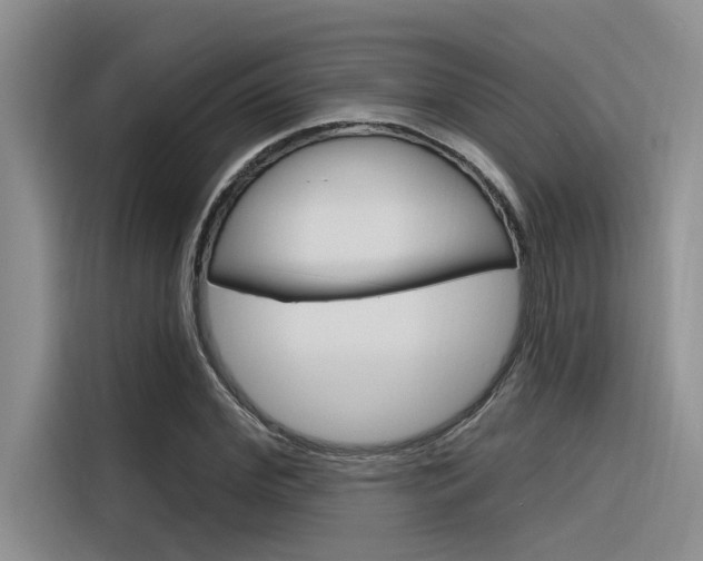 X0000116380972200912020942