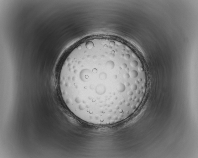 X0000116380974200912020942