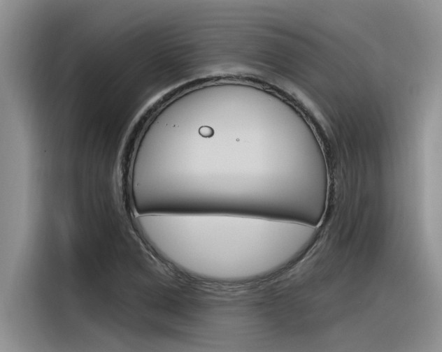 X0000116380975200912020942