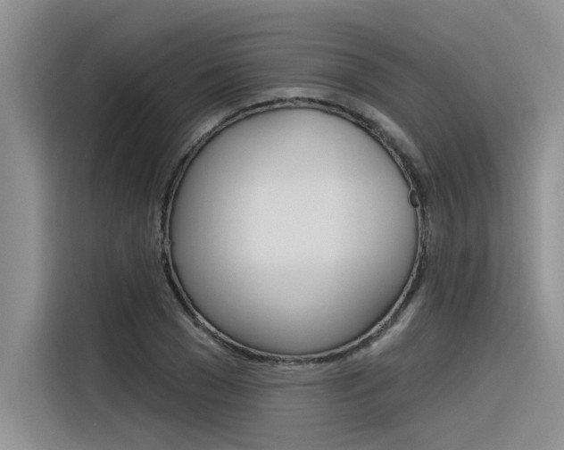 X0000116380977200912020942