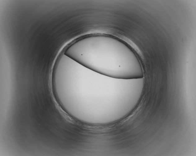 X0000116380980200912020942