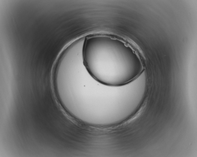 X0000116380981200912020942