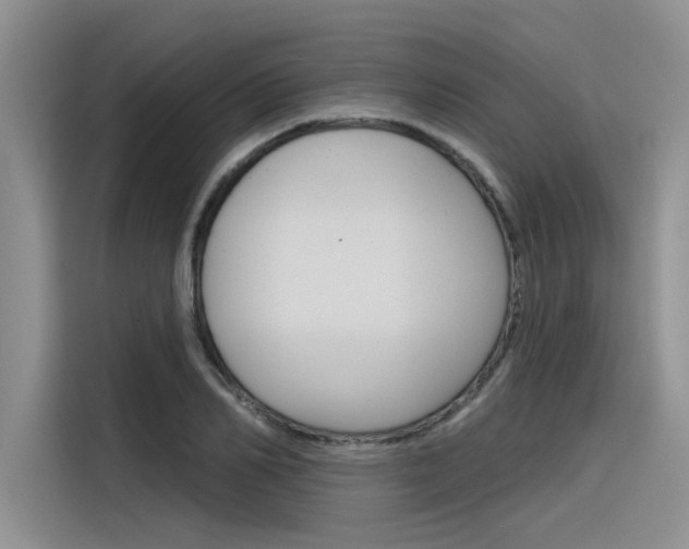 X0000116380982200912020942