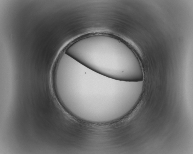 X0000116380983200912020942
