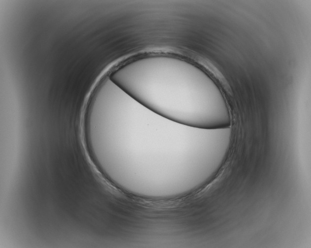 X0000116380984200912020942