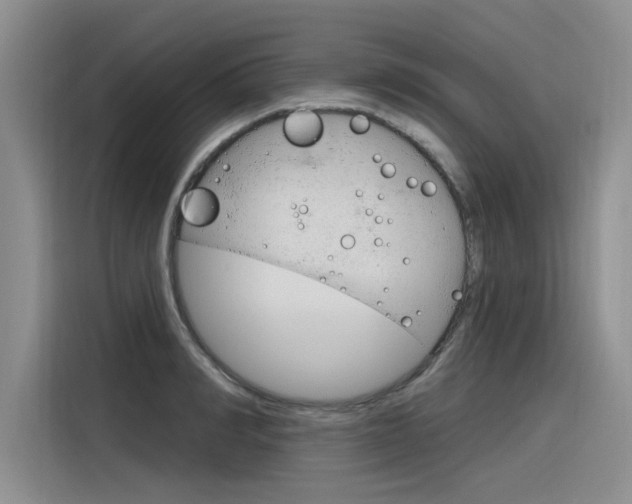 X0000116380990200912020942