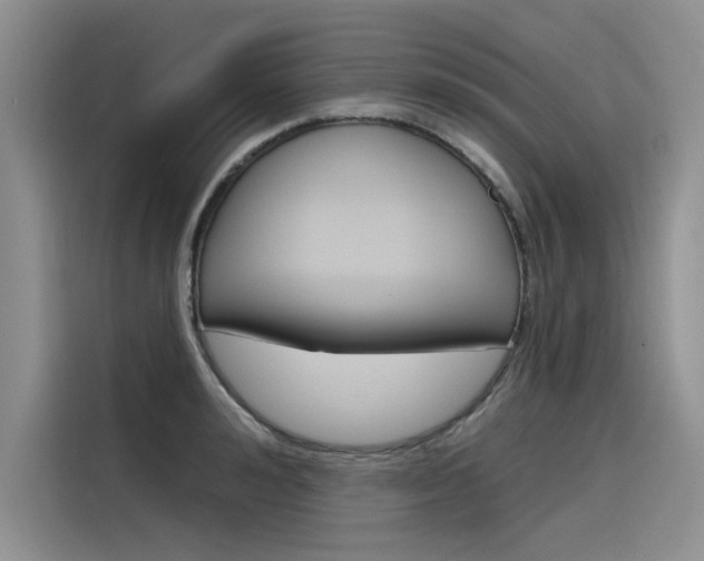 X0000116380992200912020942