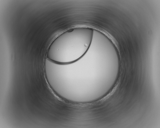 X0000116380993200912020942