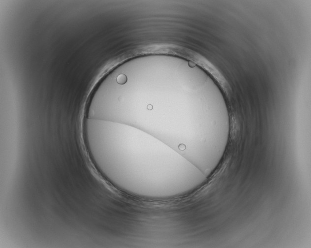 X0000116380994200912020942