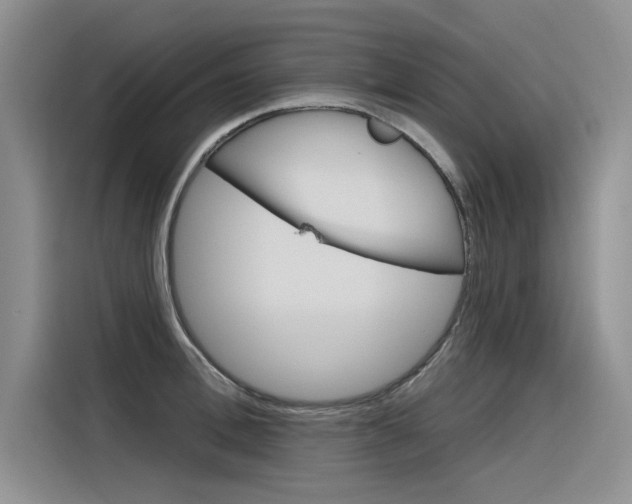 X0000116380996200912020942