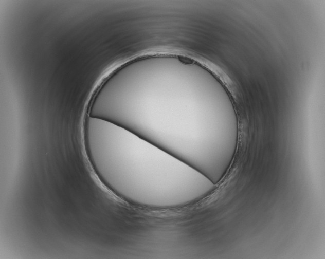 X0000116380998200912020942