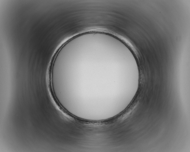 X0000116380999200912020942