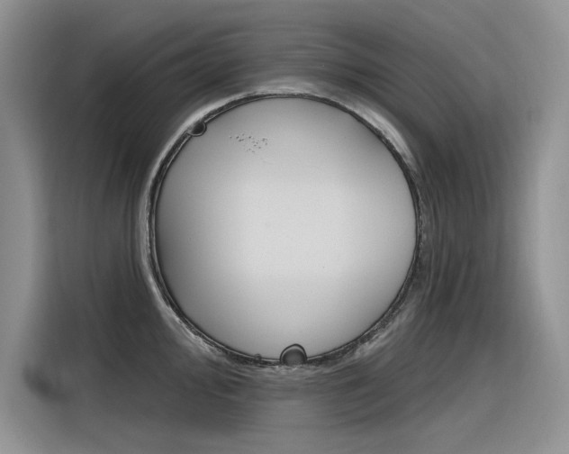 X0000116381000200912020942