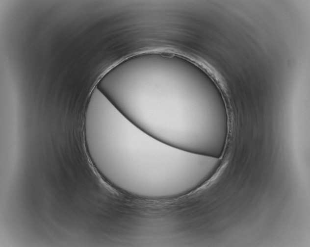 X0000116381001200912020942