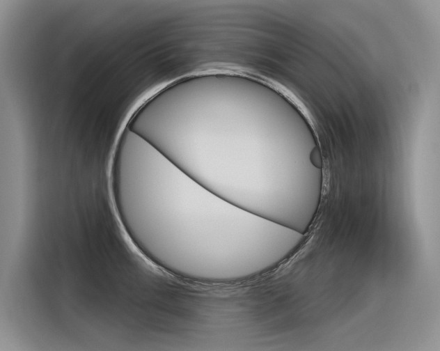 X0000116381003200912020942