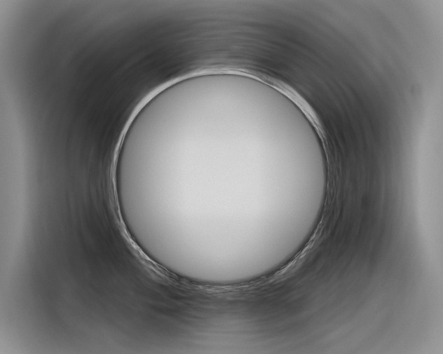 X0000116381004200912020942