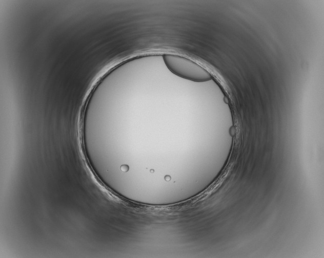 X0000116381006200912020942