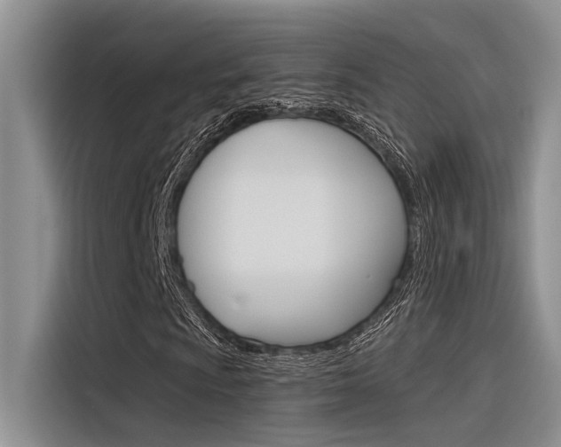 X0000116381009200912020941