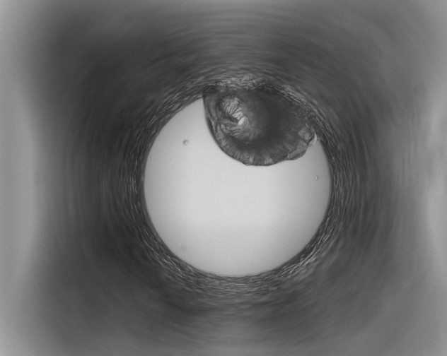 X0000116381010200912020941