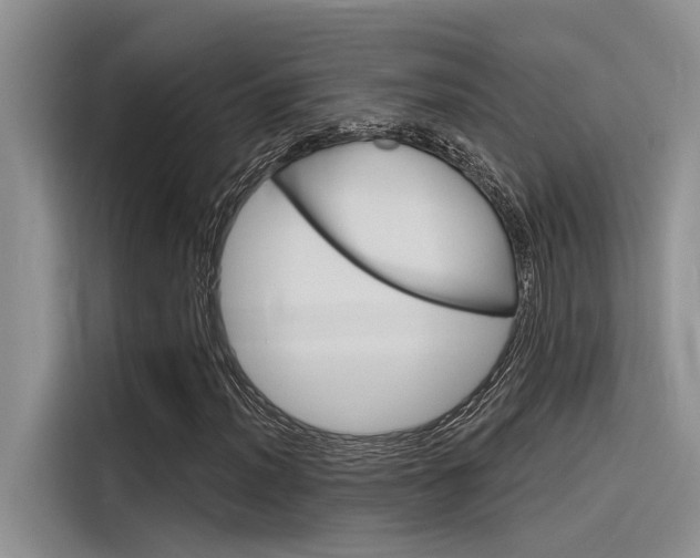 X0000116381012200912020941