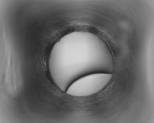 X0000116381013200912020941