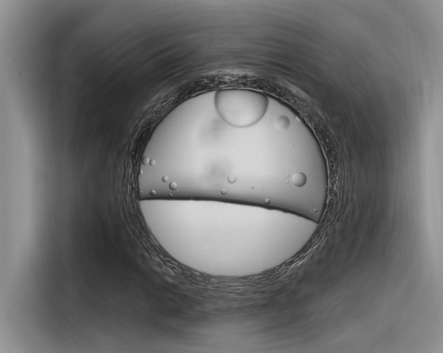 X0000116381014200912020941
