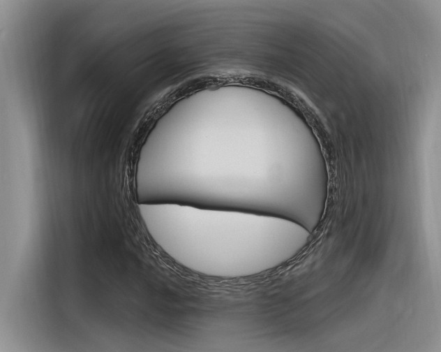 X0000116381016200912020941