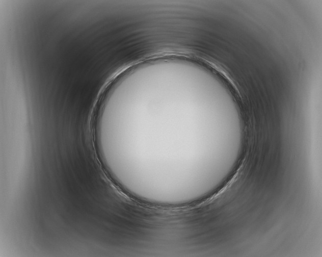 X0000116381018200912020941