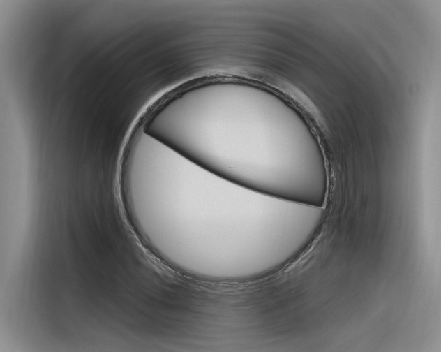 X0000116381020200912020941