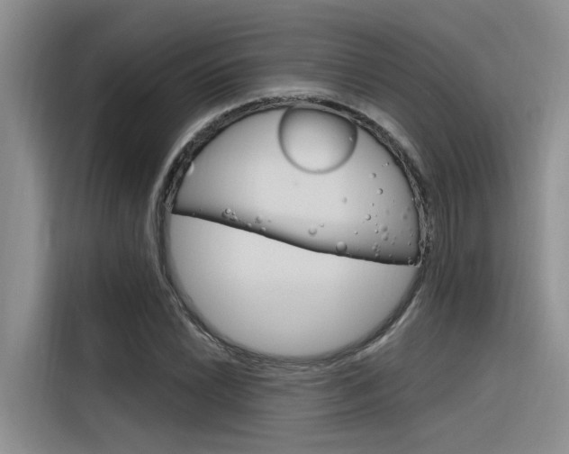 X0000116381022200912020941