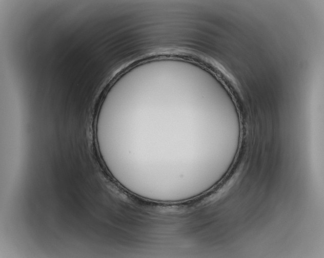 X0000116381025200912020941
