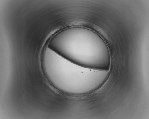 X0000116381026200912020941